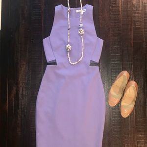 Elizabeth and James Purple Midi Dress
